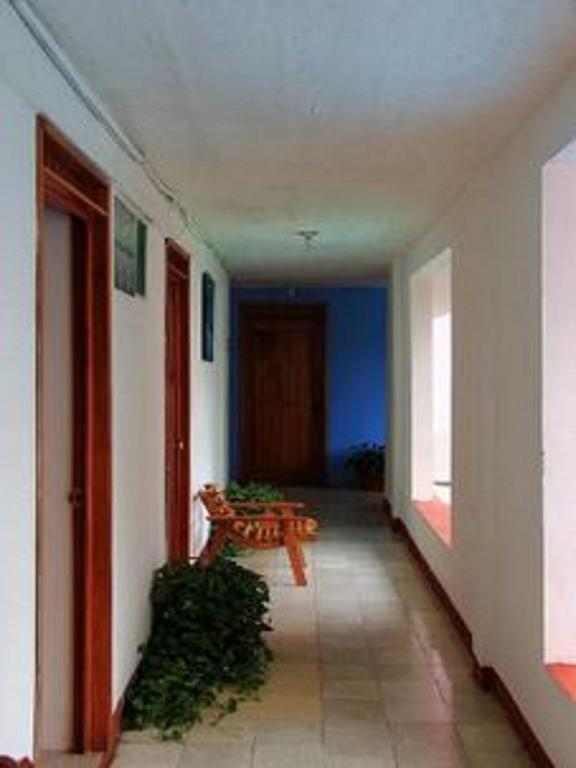 Hotel Mallorca Palenque Dış mekan fotoğraf