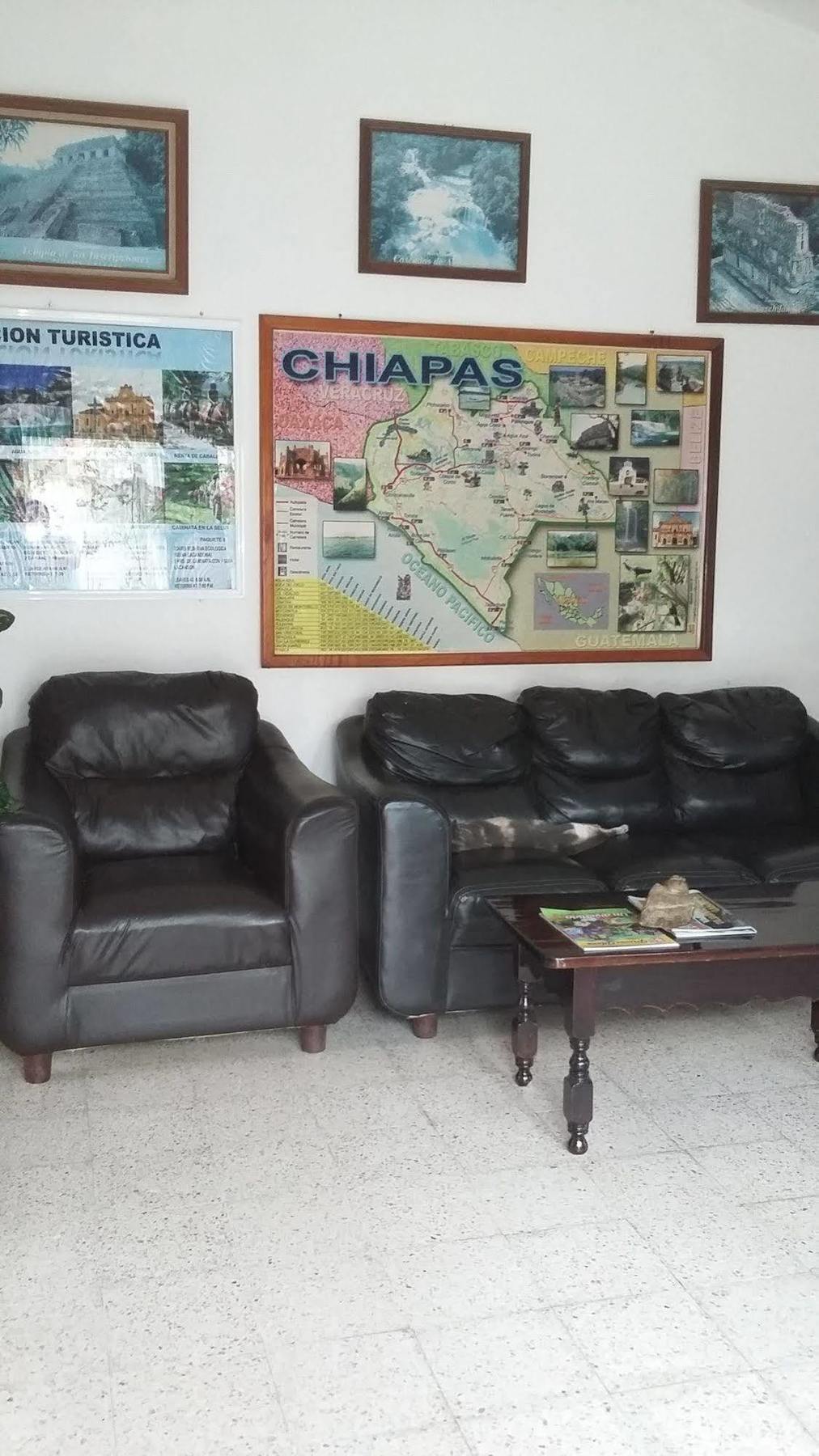 Hotel Mallorca Palenque Dış mekan fotoğraf