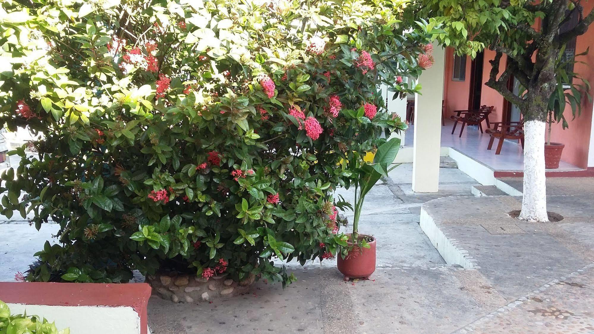 Hotel Mallorca Palenque Dış mekan fotoğraf